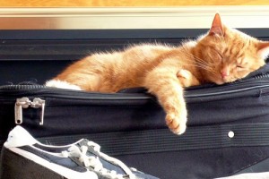 海外旅行の洋服の荷造りに役立つグッズはこれ!