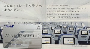 ANAマイレージクラブはANAカードで！は損してる！？簡単に国際線特典航空券をゲットする方法（いい大人編）