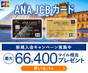 jcb_ANA_banner_300_250