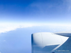 1歳半のミニミーANA国内線で沖縄行きで飛行機デビュー！チェックインから到着までと対策をレポート