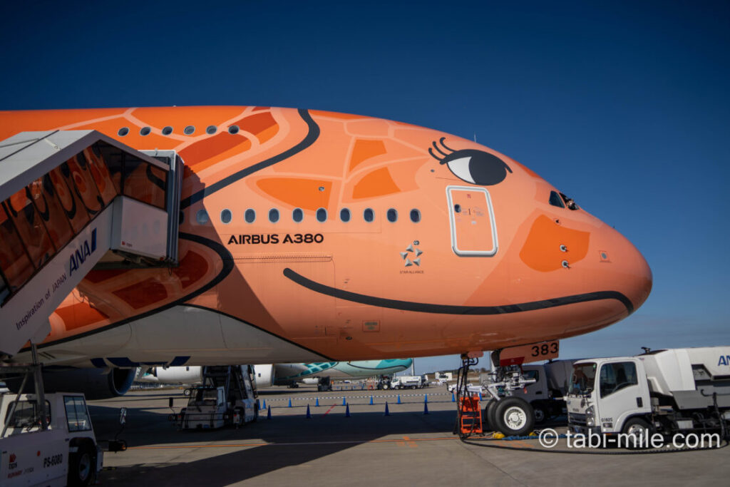 ANA A380フライングホヌ　サンセットオレンジ　ラー