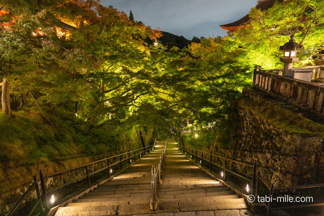 清水寺夜間特別拝観「世界遺産 清水寺 2024秋のナイトビューイング Only for Amex」