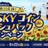 ANAトラベラーズ ANA SKY コインdeキャッシュバックキャンペーン