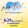 ANAにキュン！今回はツアーの割引がメイン