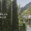 IHGポイント購入100%ボーナス