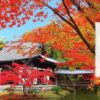 アメリカン・エキスプレス会員限定 高台寺 特別拝観イベント