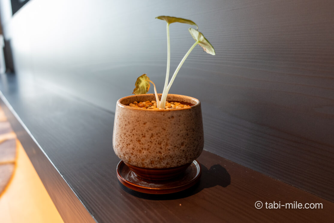 JWマリオット・ホテル東京宿泊記|ジュニアスイート、ベイデラックス、アーバンデラックスレビュー!圧巻のプールも写真で解説