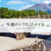 ANAトクたびマイルが7月7日告知分から再開！