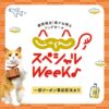じゃらんスペシャルウィーク開催！半額プランも